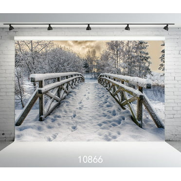 TMOTN 5x7ft Christmas Backdrop Natural Winter Background for Photography White Snow Tree Home Party Decoration Photo Studio Props D2255 